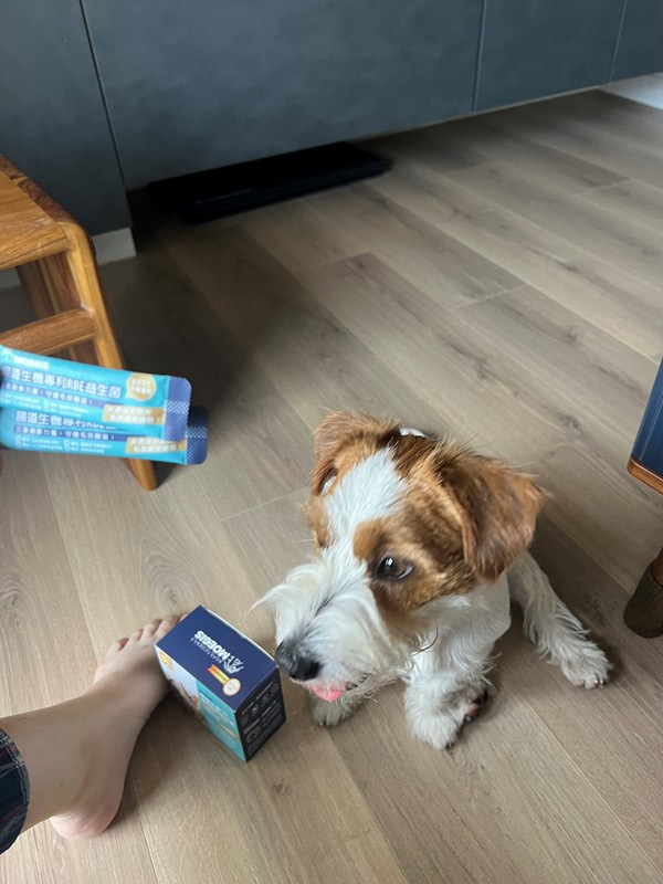 女人知己試用大隊,口碑行銷,部落客行銷,Moegis萌吉 腸道生機專利RBE益生菌,寵物益生菌,專利RBE益生元,專利蔬果酵素,小分子胜肽,藍藻粉,維持免疫力,幫助維持消化道機能,維持正常食慾,改變細菌叢生態,腸胃保健,犬貓適用